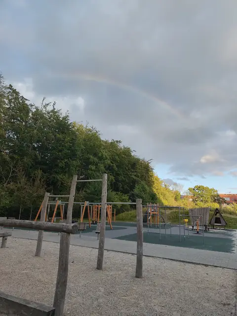Playground pizza party